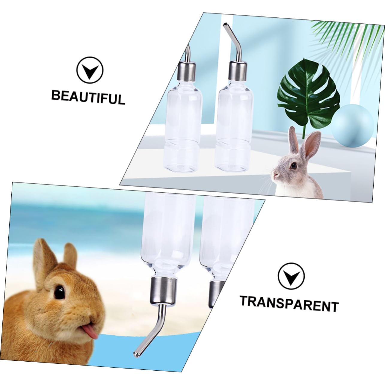 6pezzi Dispenser Per Criceti e Conigli Borraccia Appesa Da Inossidabile Antileak Per Chinchilla e Porcellini Facile Da Installare e Pulire