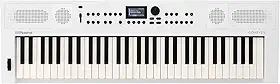 Teclado Roland GO:KEYS 5 para Criação Musical | Teclado de 61 Teclas | Alto-falantes Estéreo Integrados | Entrada para Microfone | Suporte Bluetooth Áudio/MIDI para Streaming de Música - Branco