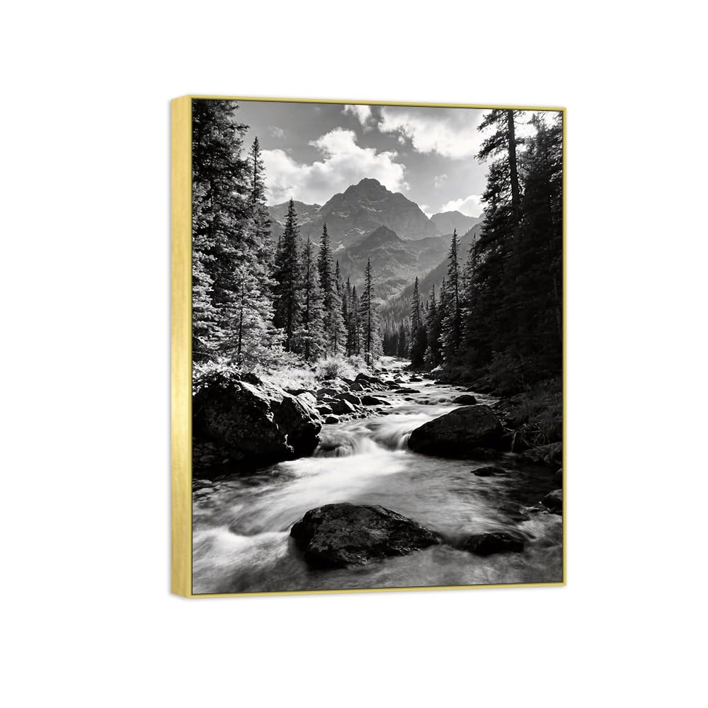 Forest River 2 Black White Landscape Canvas Picture 90x117cm Gold Frame