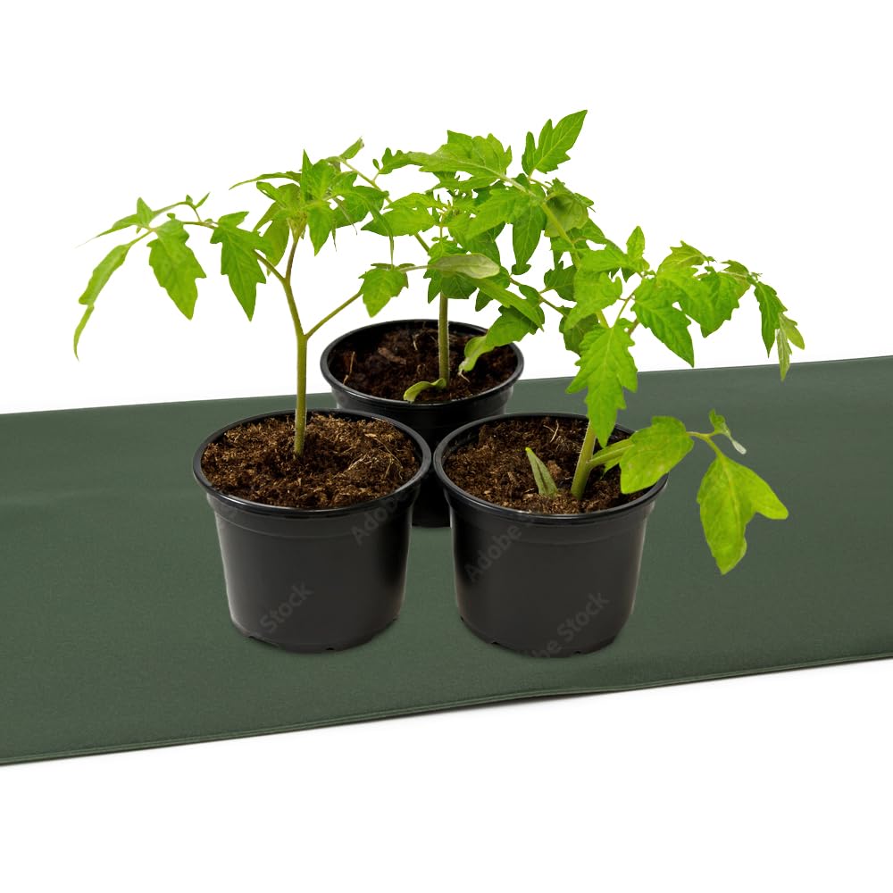 Terra Discount Comfort Heizmatte für Gewächshäuser und zur Cannabis Zucht in 10, 20, 30 & 40 Watt erhältlich - Wärmematte für EIN besseres Pflanzenwachstum (40 Watt - 40x60 cm)