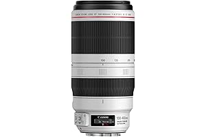 Canon EF 100-400mm f/4.5-5.6L IS II USM Lens
