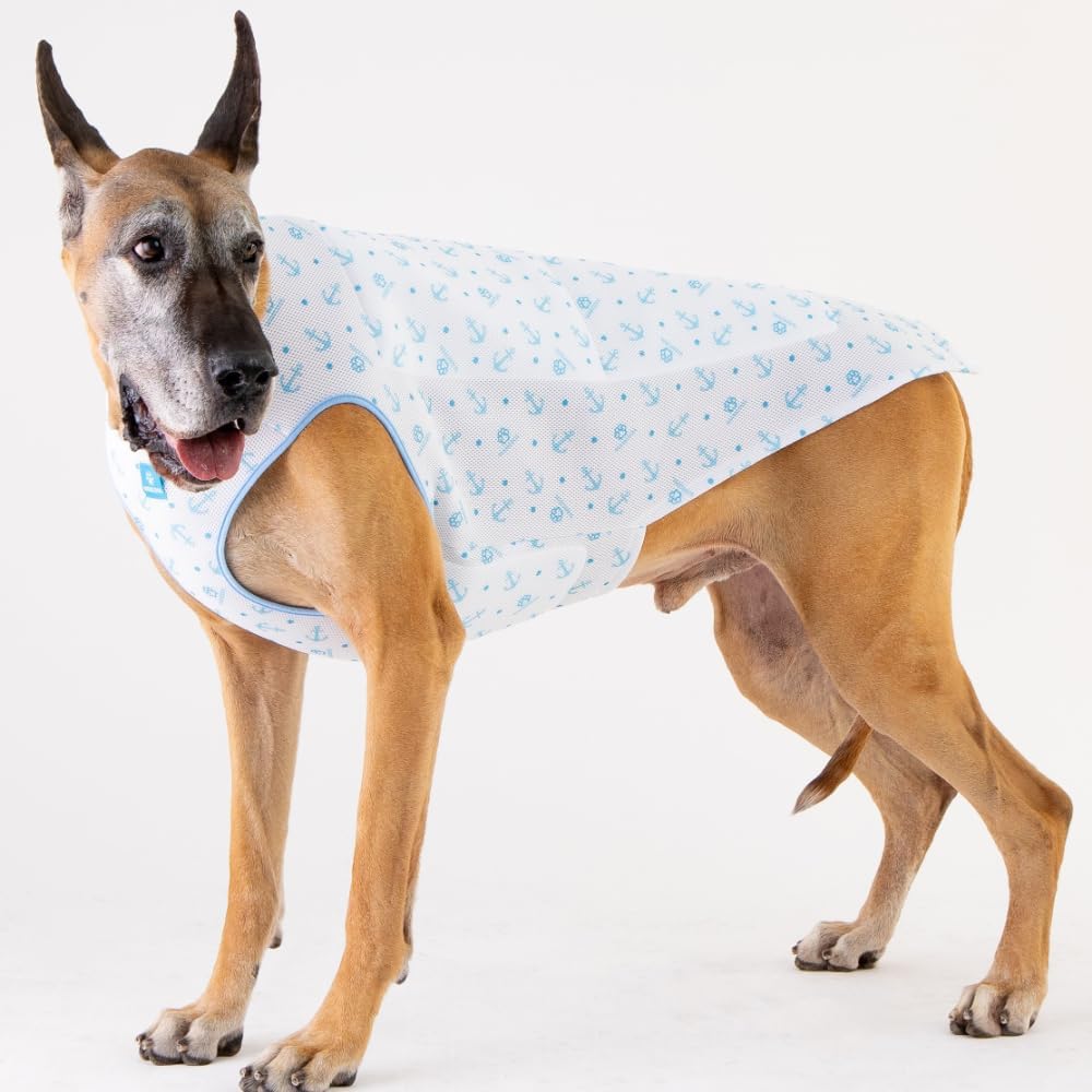 レノックス フィギュア『卒業』『壺の金貨を抱く』白い猫の置物