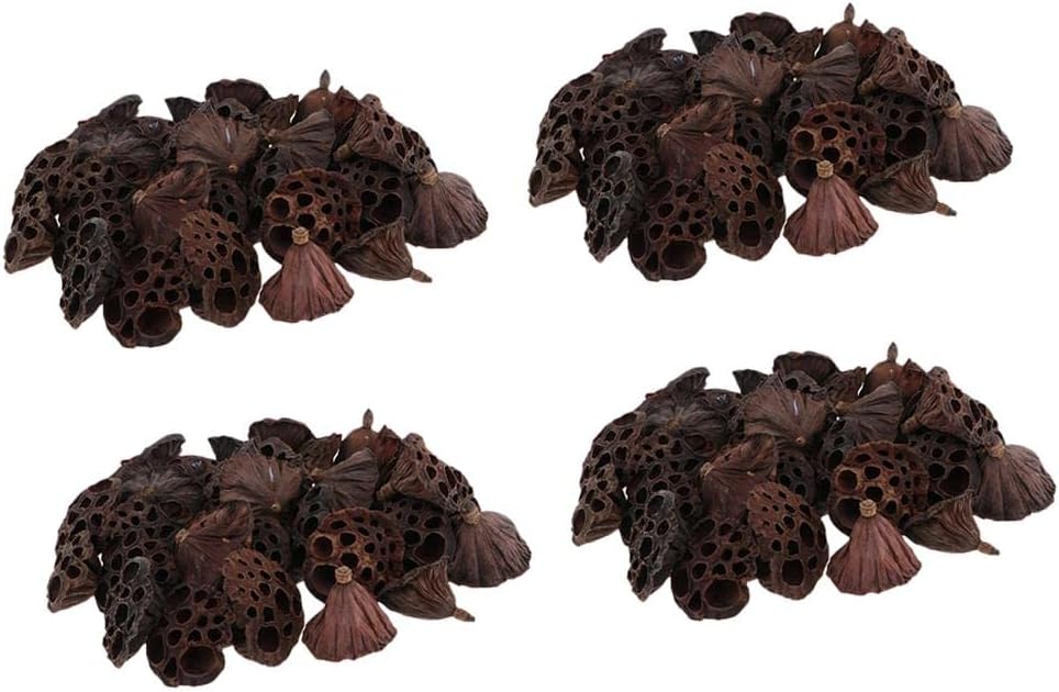 4X 30pcs Natural Dried Lotus Pod Flowers Fruit for Crafts DIY