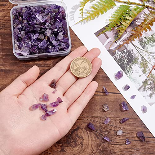 SUNNYCLUE 1 Box 100g Amethyst Chip Beads Chakra Chip Stones Irregular Gemstones Healing Energy Polishing Crystal Chips for Jewellery Making DIY Craft Decoration Bracelet Necklace Supplies Accessories - Image 3
