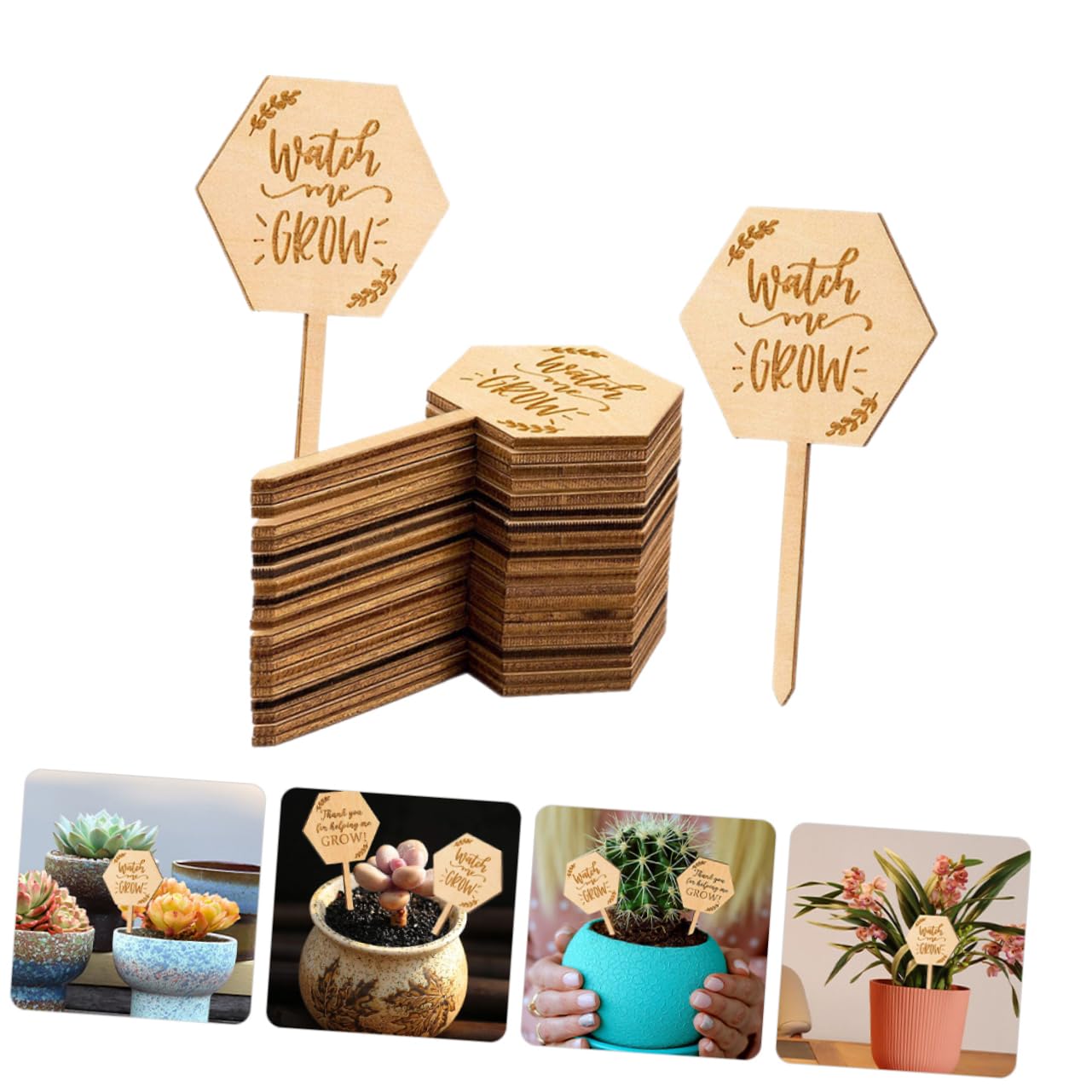 ibasenice 4 Ensembles Étiquette En Bois Étiquettes De Plantes Imperméables Pot Jardinage Nursery Planches D'identification De Fleurs Étiquettes De Pépinière 40 Pièces * 4