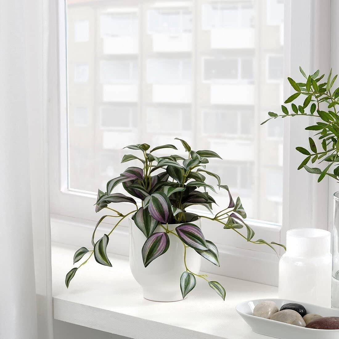 Amazon｜IKEA/イケア FEJKA/フェイカ：人工観葉植物20 cm