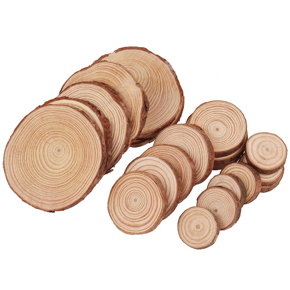 Natural Wood Slices, 21 Pcs 1.2-3.9 Inches Unfinished Wooden Circles Round Rustic Wood with Bark, Solid Log Discs Craft Wood Kit for Arts DIY Crafts Christmas Home Decorations