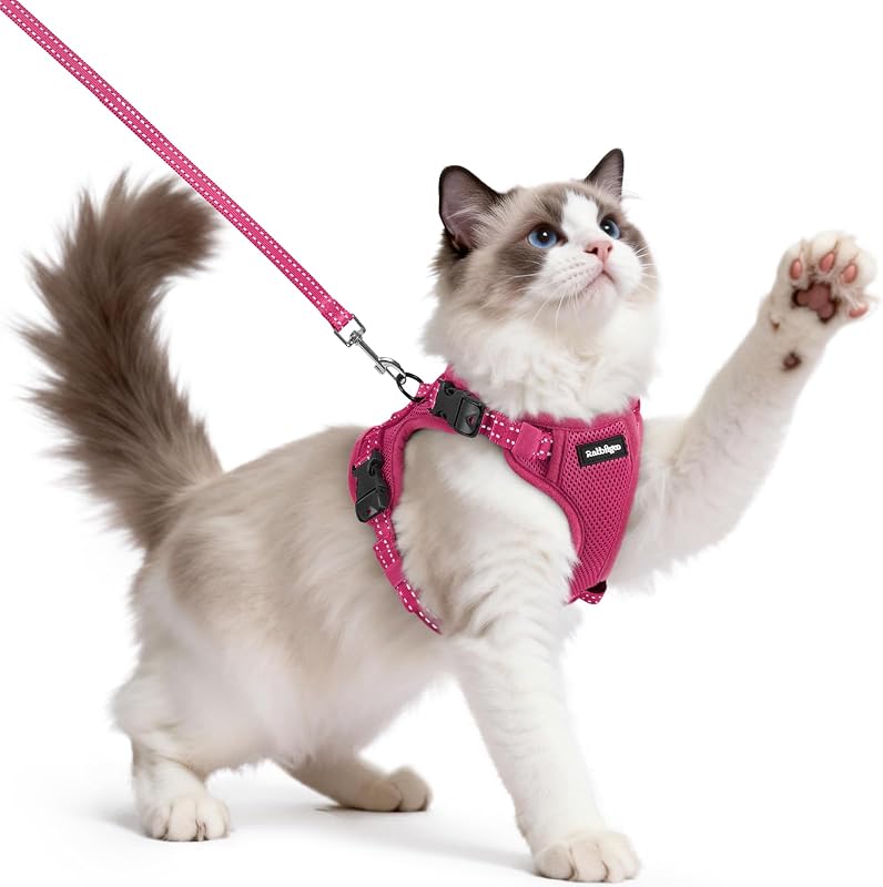 Peitoral ajustável para gatos com guia e faixas refletivas rabbitgoo Rose Red