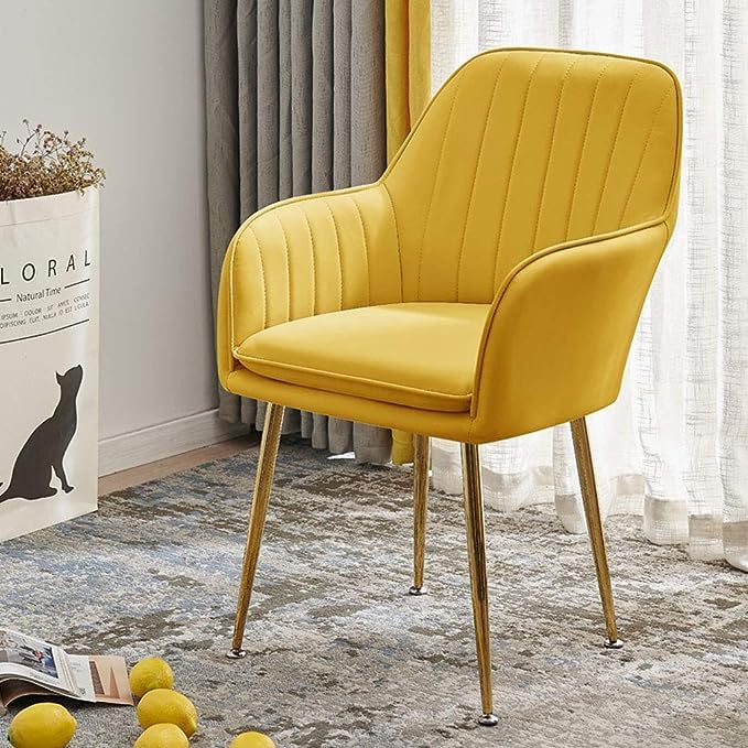 CHAIR CRAFT Velvet Upholstered Modern Accent Arm Chair for Living and