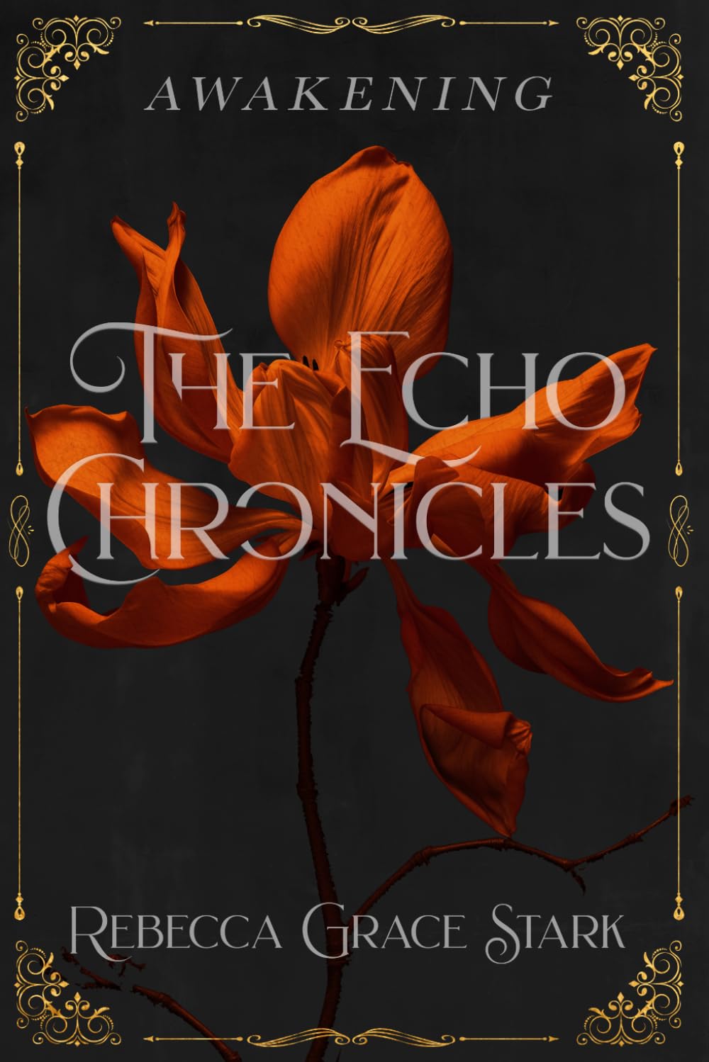 The Echo Chronicles: Awakening