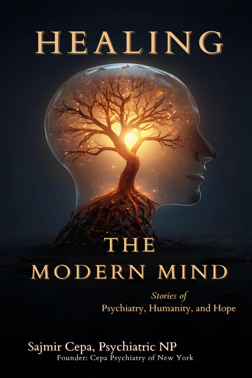 Healing the Modern Mind: Stories of Psychiatry, Humanity, and Hope