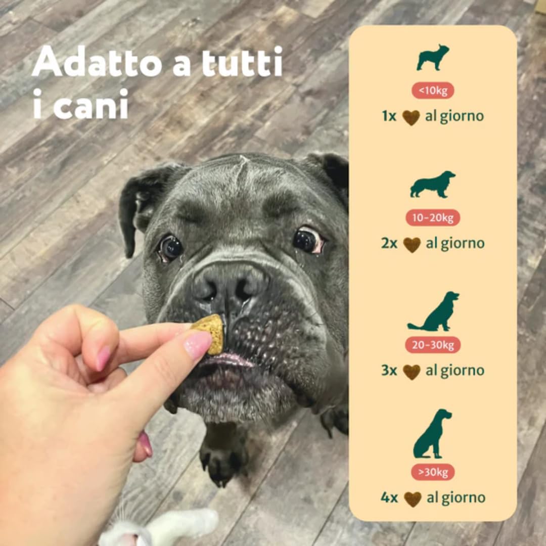 DogSuppy Sollievo Prurito Probiotici Forte per Cani – Ferma Prurito, Grattamento, Leccamento delle Zampe e Mangiare l’Erba, Allevia Allergie e Lieviti, 100% Naturale, Sostiene Intestino e Immunità