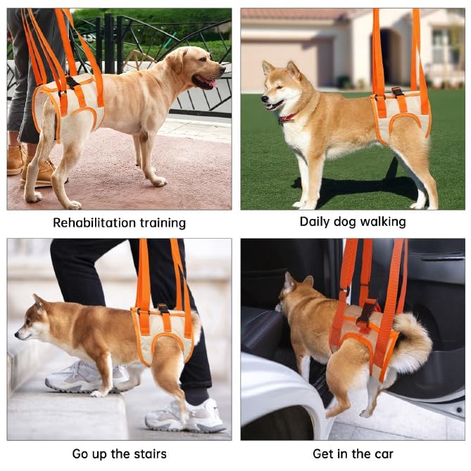 Image of Paralyzed Dog Harness with Hind Leg Support - Small Sized Dog Sling, Adjustable Lift Harness, Hip Dysplasia Brace & ACL Tear Aid for Elderly Dogs - Alternative to Dog Wheelchair