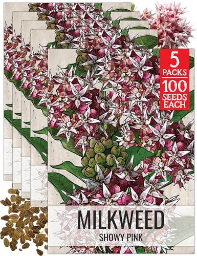 Image of Seed Needs Showy Milkweed Seeds to Attract Monarch Butterflies 5 Packs