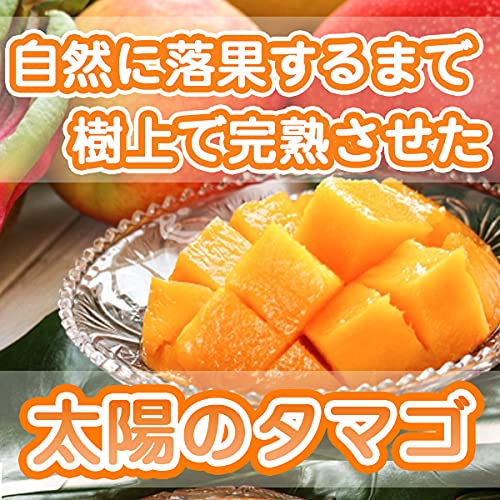 Amazon.co.jp: 【宮崎県産】太陽のタマゴ 化粧箱入 4Lサイズ2玉 510g