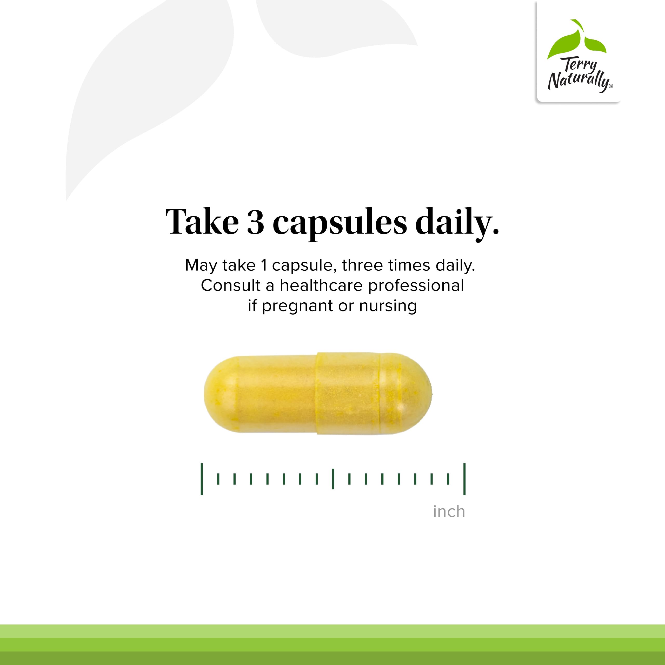 Terry Naturally Curamin - Muscle Soreness & Pain Relief - 21 Count — Amazon image 4