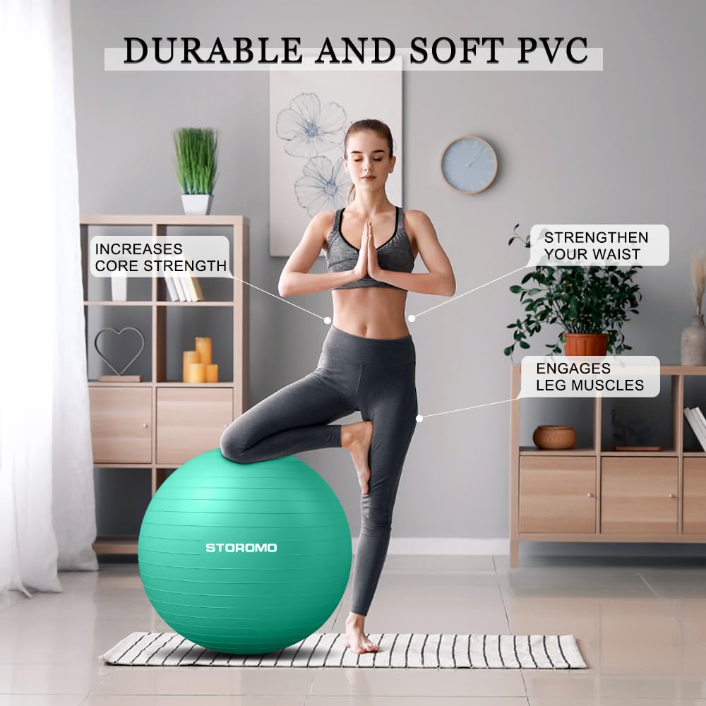 Exercise Ball (45cm-95cm),Yoga Ball,Pilates Ball,Medicine Balls for Exercise,Therapy Ball Chair,Extra Thick Anti Burst,for Balance Stability Workout,Pregnancy Birthing and Physical Therapy