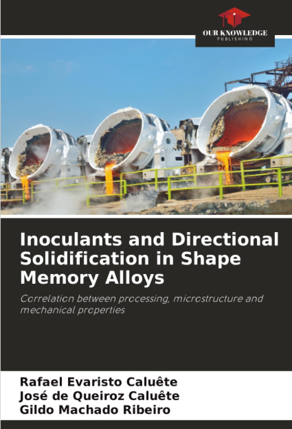 Inoculants and Directional Solidification in Shape Memory Alloys: Correlation between processing, microstructure and mechanical properties