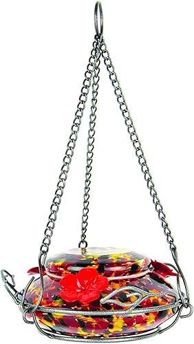 Natures Way Bird Products GHF5 - Comedero de colibríes soplado a mano capacidad de 16 onzas fundido