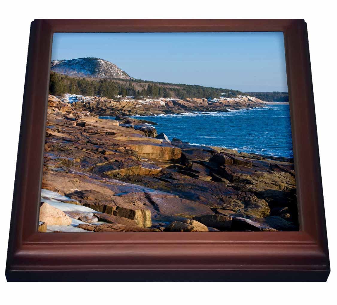 GlobalNiche® trv_90722_1 Maine, Acadia NP, Ocean Drive Section US20 JMO1263 Jerry and Marcy Monkman Trivet with Ceramic Tile, 8 by 8", Brown