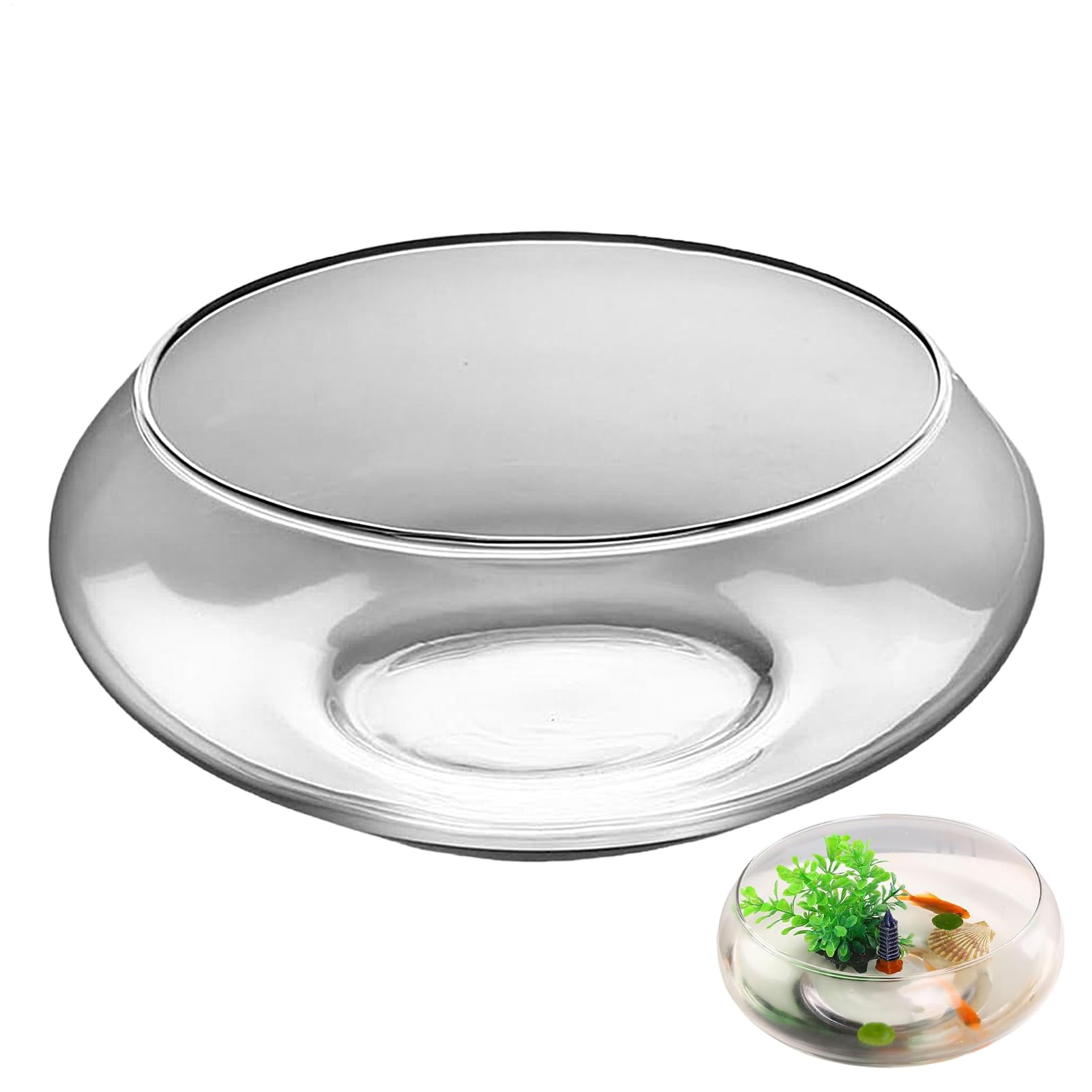 Glasschale für Pflanzen, Hydrokultur-Bonsai-, flach, breit, rund, Fischschale für Innenbereich, Heimdekoration, Tafelaufsätze, Pflanzen, Bonsai, Sukkulenten, Blumen-Display