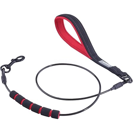 Anti chew lead Clearance