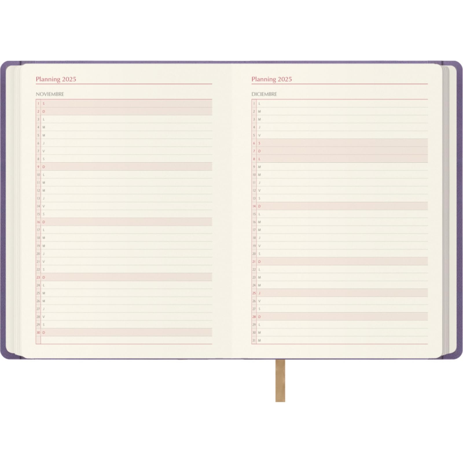 Dohe, 2025 Diary, Day by Page, A5 Size (15 x 21 cm), 12 Months January to December, Leatherette Hardcover, Planner in Spanish - Image 4