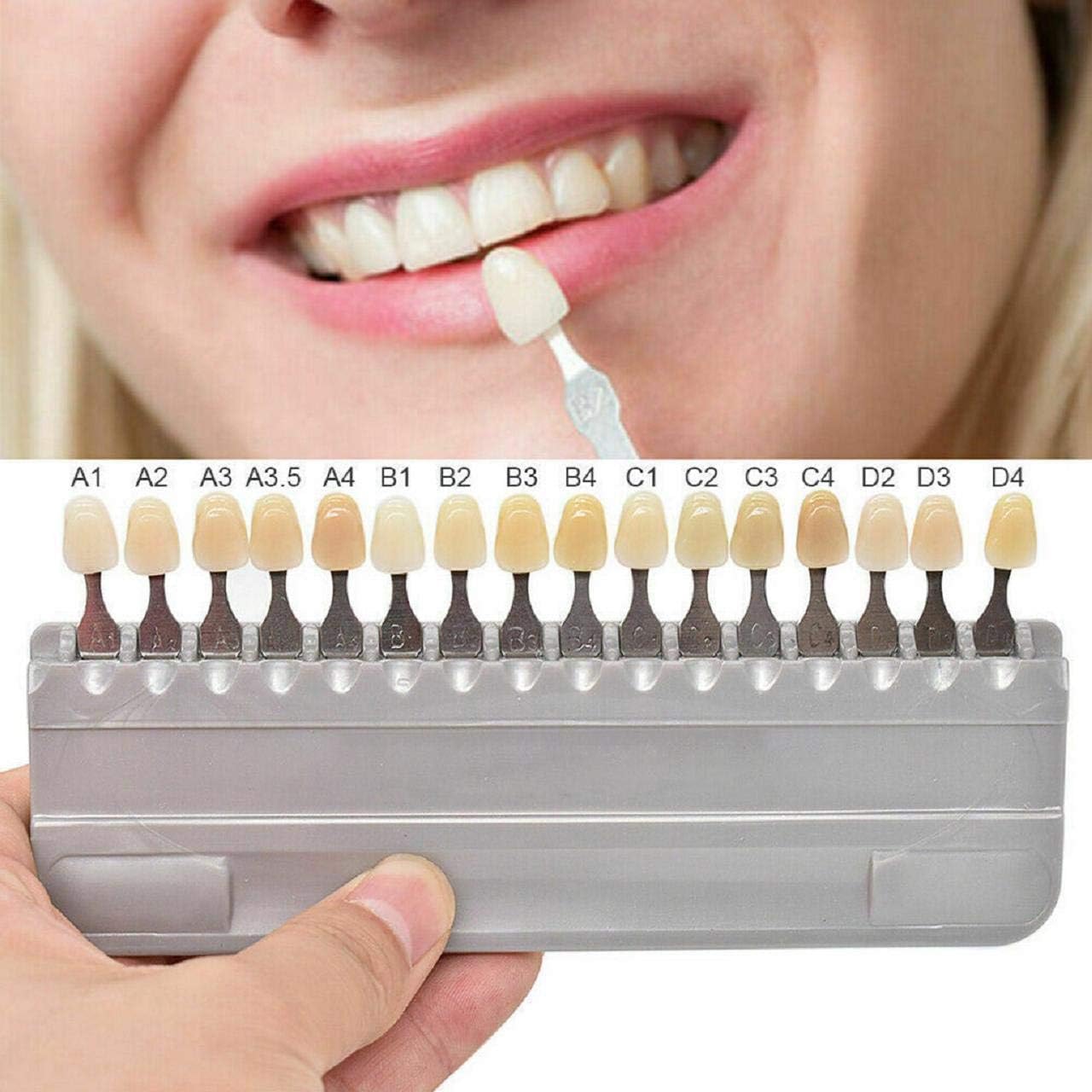 Guide D'ombrage Dentaire Ivoclar Vivadent A-D - Pour Blanchiment, Porcelaine, Laboratoire Dentaire