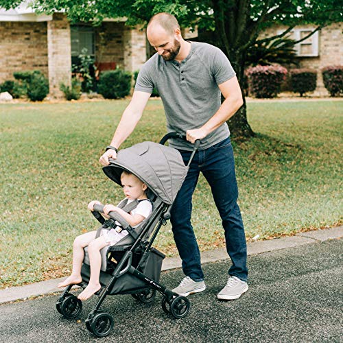 Baby Delight Go with Me Dart Ultra-Compact Stroller(BD05340), Charcoal Tweed