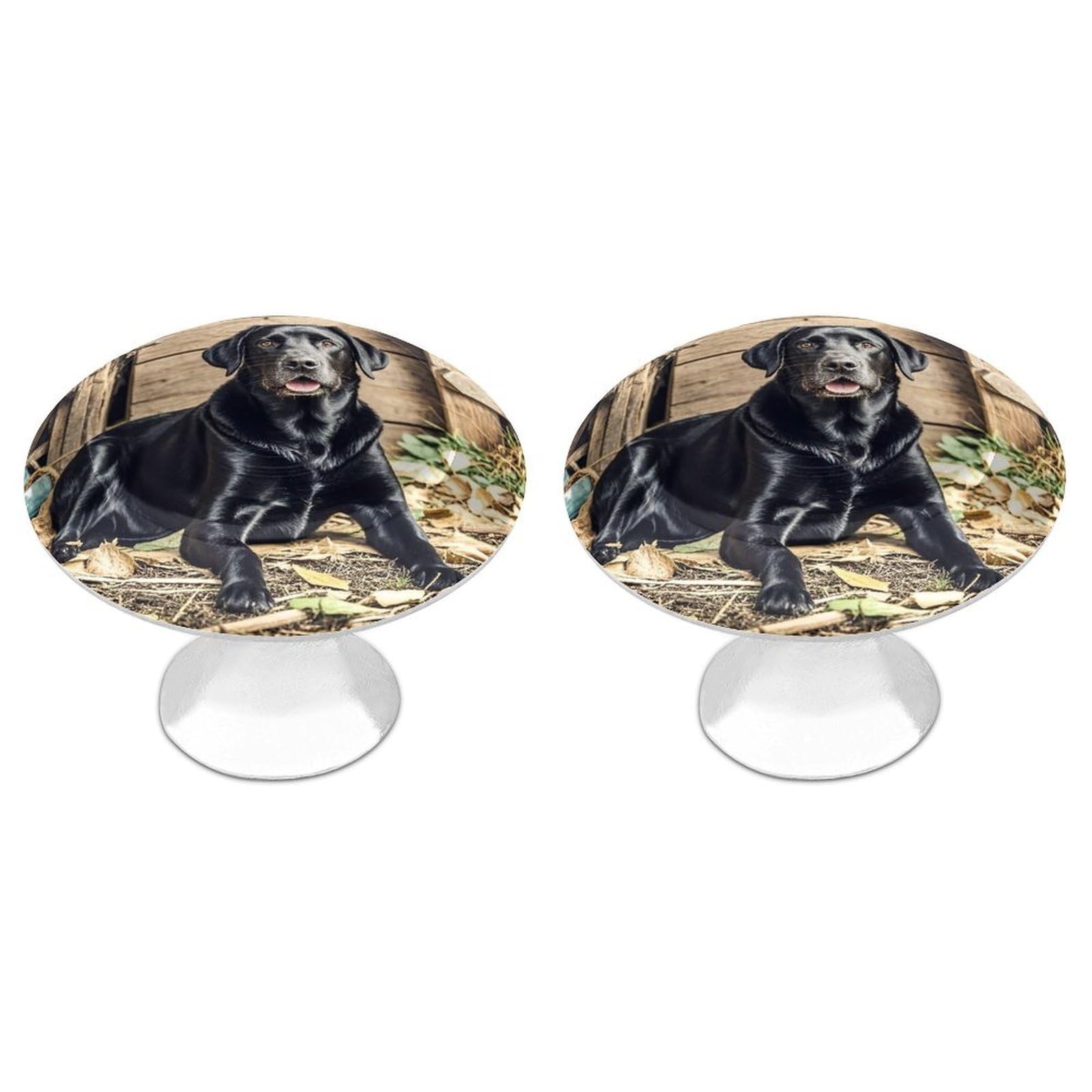 FekiLoot Round Cabinet Knob 2 Pack Kitchen Drawer Knobs Stainless Steel Round Drawer Pulls Modern Cabinet Hardware Black Labrador Drawer Hardware for Dresser Closet Door Knobs