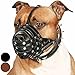 CollarDirect Muselière en cuir pour chien Pitbull Amstaff avec panier sécurisé pour Staffordshire Terrier Noir