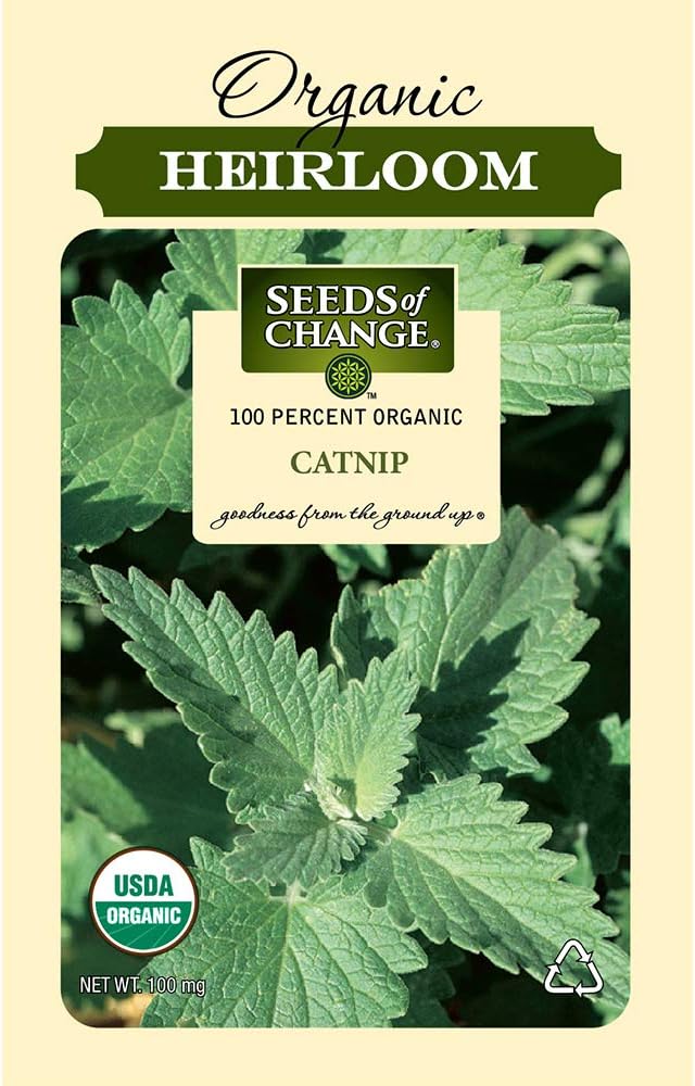 Seeds of Change Certified Organic Catnip