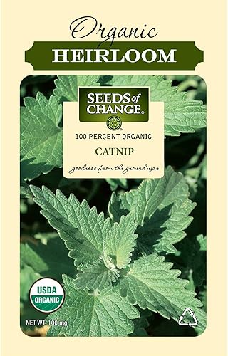 Seeds of Change Hierba gatera orgánica certificada