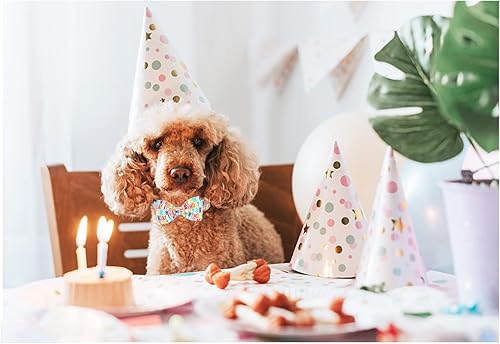 Miniatura 7 de Unique style paws Collar de perro con pajarita, collares ajustables para perros y gatos pequeños, medianos y grandes