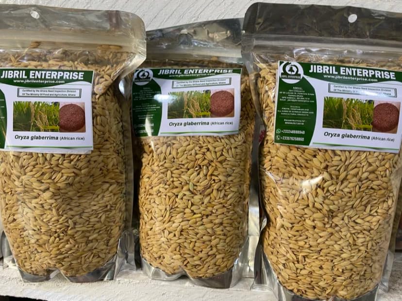 African rice,Oryza glaberrima paddy, 100% natural and organic, no additives, including phyto sanitary certificate (200g)