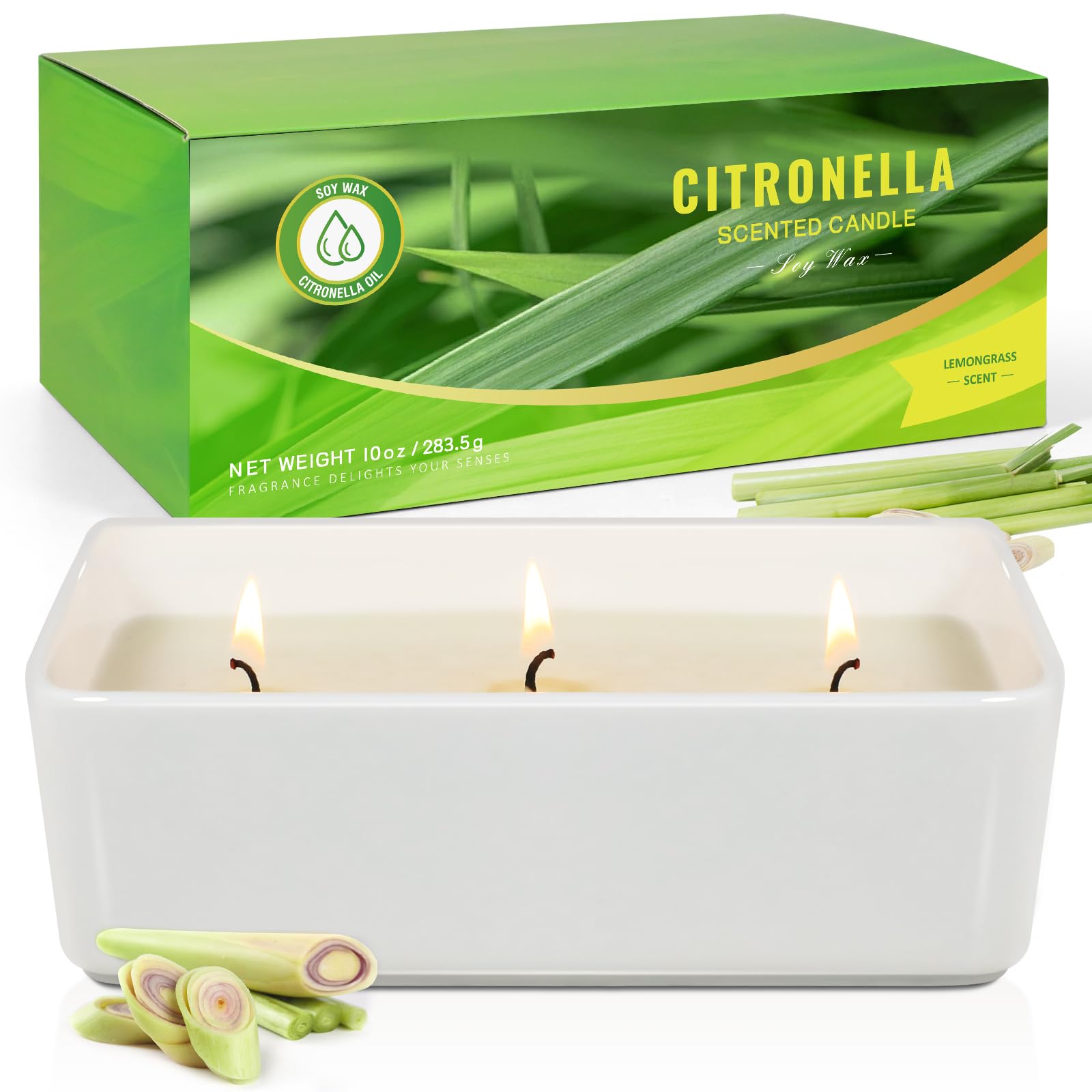 Autom Prayerlights:3-5 Day 12/Cs