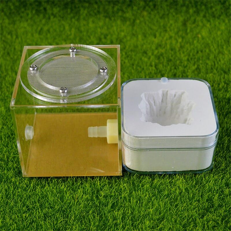 Fourmilière en plâtre acrylique pour observer les insectes à la maison