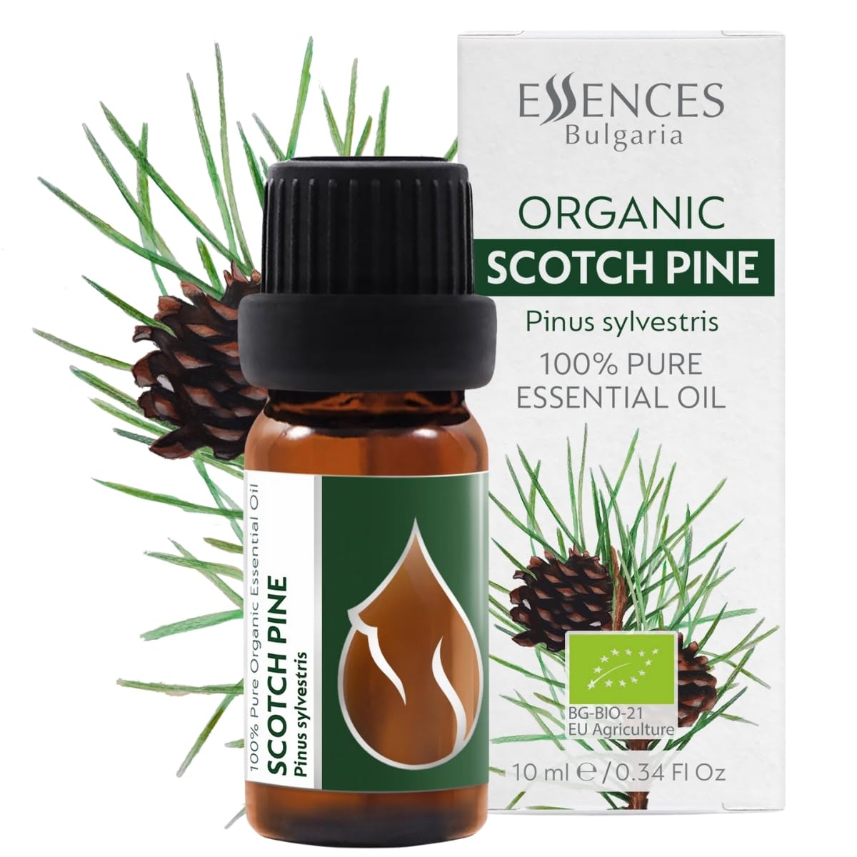 Organic Scotch Pine Essential Oil 1/3 Fl Oz (10ml) Pinus Sylvestris - 100% Pure Natural and Undiluted Therapeutic Grade for Aromatherapy Diffuser Humidifier Skin Care DIY Cosmetics