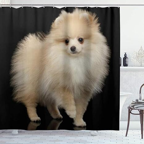 Amazon Kapanou 防水 シャワーカーテン かわいいポメラニアン犬 かわいいシャワーカーテン ユニットバス バスルーム 芸術の装飾 180cmx180cm バスフック付き 取り付け簡単 シャワーカーテン ホーム キッチン オンライン通販