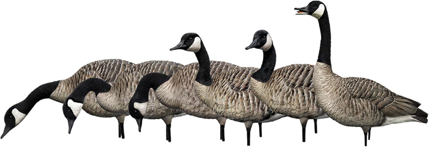 Avian X AXP Honkers Fusion Pack Full Body Canada Ireland Ubuy