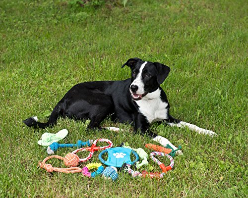 Sweetypet Wurfspiel für den Hund: 10er-Set Bunte Hundespielzeuge aus Baumwolle zum Kauen und Toben (Hunde Bedarf, Hundespiele)