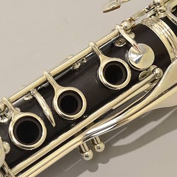 Amazon | ヤマハ YAMAHA Bフラットクラリネット カスタム SE YCL