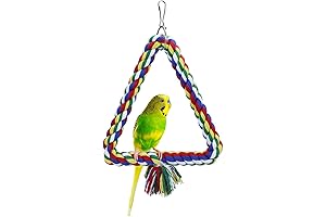 Wontee Bird Swing for Small Birds