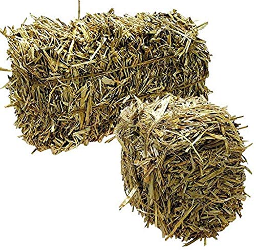 Green Vista Barley Straw Bales for Farm Pond Algae Treatment - 8 to 10 Pounds - Treats 1/4 Acre Farm or Retention Pond for 6 Months! - Supports Water Balance - Safe for Koi, Fish and Plants