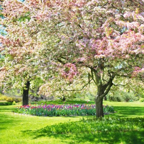 『Hearing God in a Spring Season of Growth and Busyness』のカバーアート