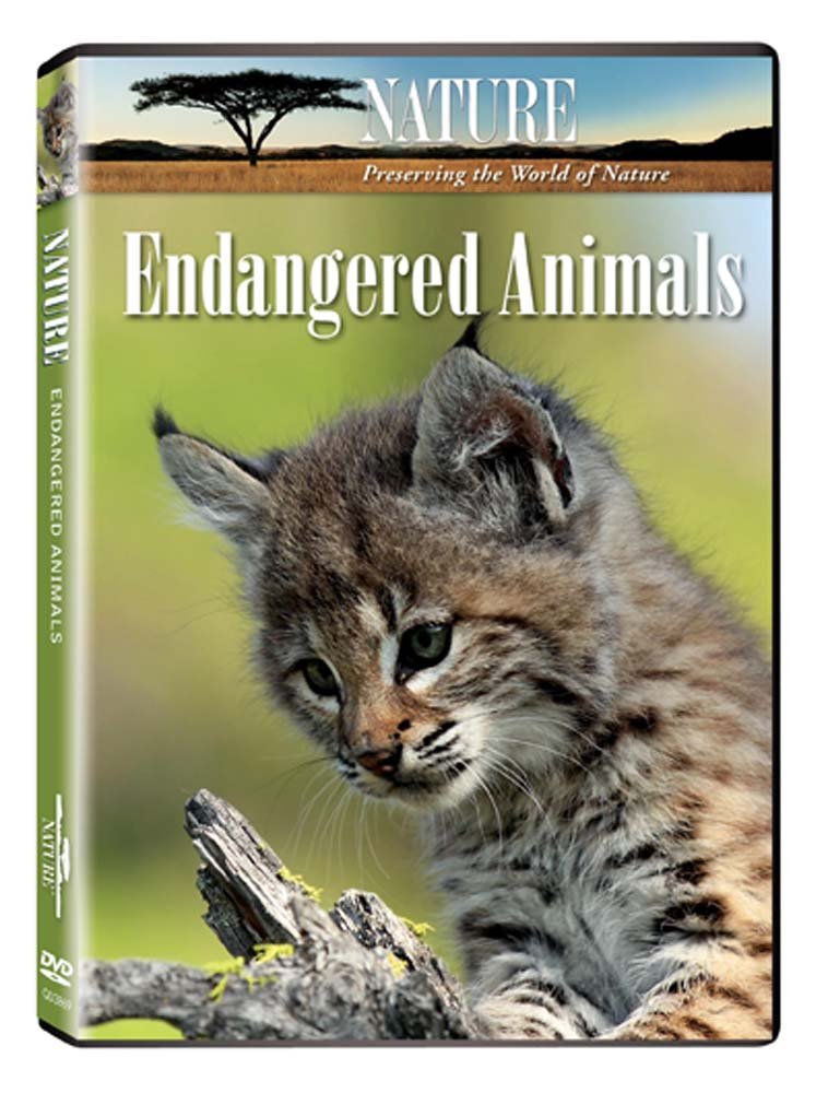 その他 Nature: The Endangered Wild [DVD] Amazon.co.jp: Nature: Endangered Animals [DVD] : DVD