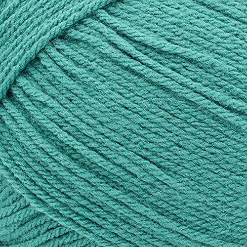 Image of Lion Brand Yarn Pound of Love, Large Value Yarn for Knitting, Crochet, and Crafts, Waterfall, 1 Pack | Large Skein Everyday Basic 100% Acrylic Worsted Weight Knit Fiber for Baby Blankets, Classic Afghans, Sweaters, Scarf Sets