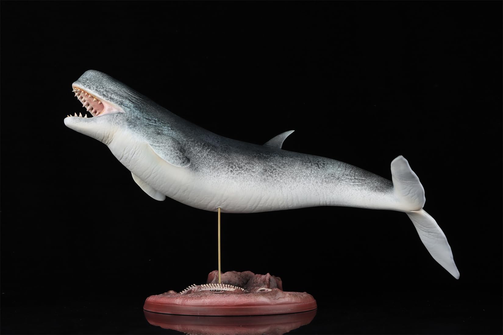 Amazon.co.jp: 1/35 サイズ リヴィアタン・メルビレイ クジラ類