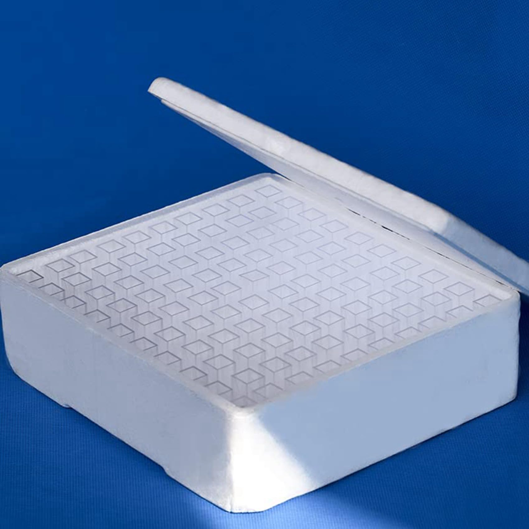 Cuvette Monouso In Polistirene per Spettrofotometria Cuvette per 4,5 Ml, Confezione da 300 (Monouso) Cuvette Monouso PS
