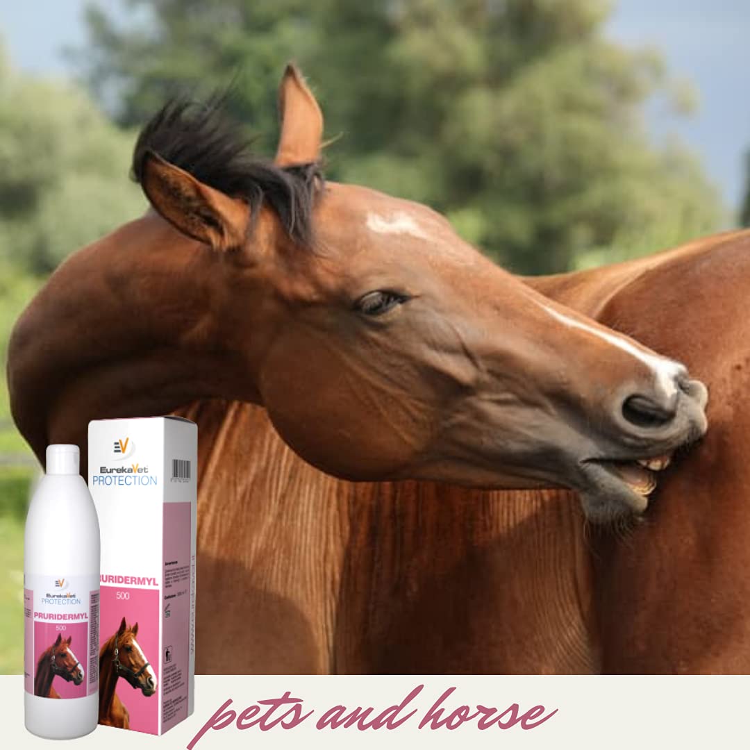 Pruridermyl Cavallo Crema contro Dermatite, Arrossamenti, Prurito, Irritazione - Trattamento per cavalli 100% naturale Flacone da 500 ml